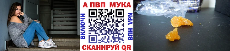 APVP крисы CK Великий Устюг