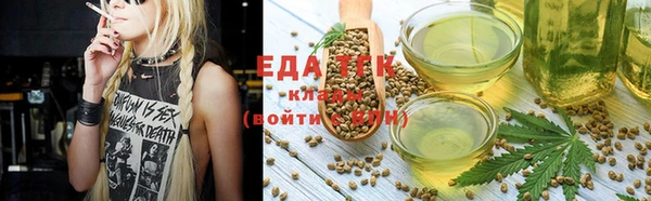 дмт Протвино