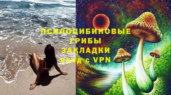 бошки Армянск