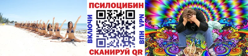 купить наркотик  Великий Устюг  Псилоцибиновые грибы GOLDEN TEACHER 